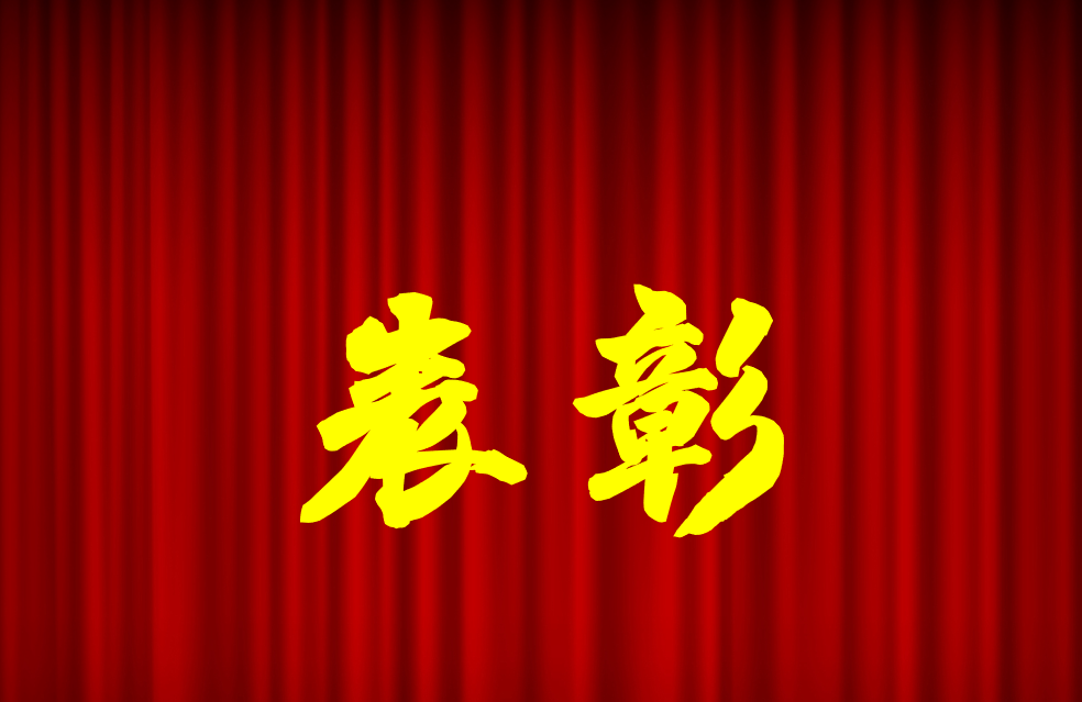 逐光前行、榮耀共鑒 | 公司2024年度表彰來啦！